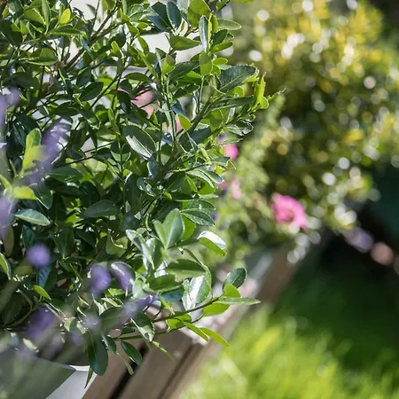 Family With Garden ليوبليانا